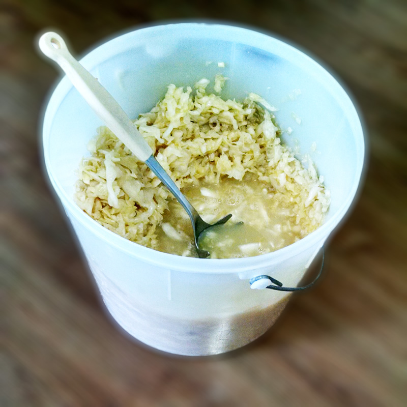 Willst du sauerkraut ? Quer chucrute ?